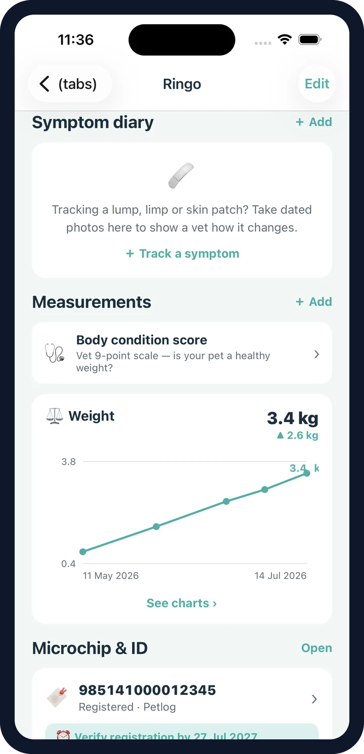 CorePaw weight chart with body condition score and tracked metrics