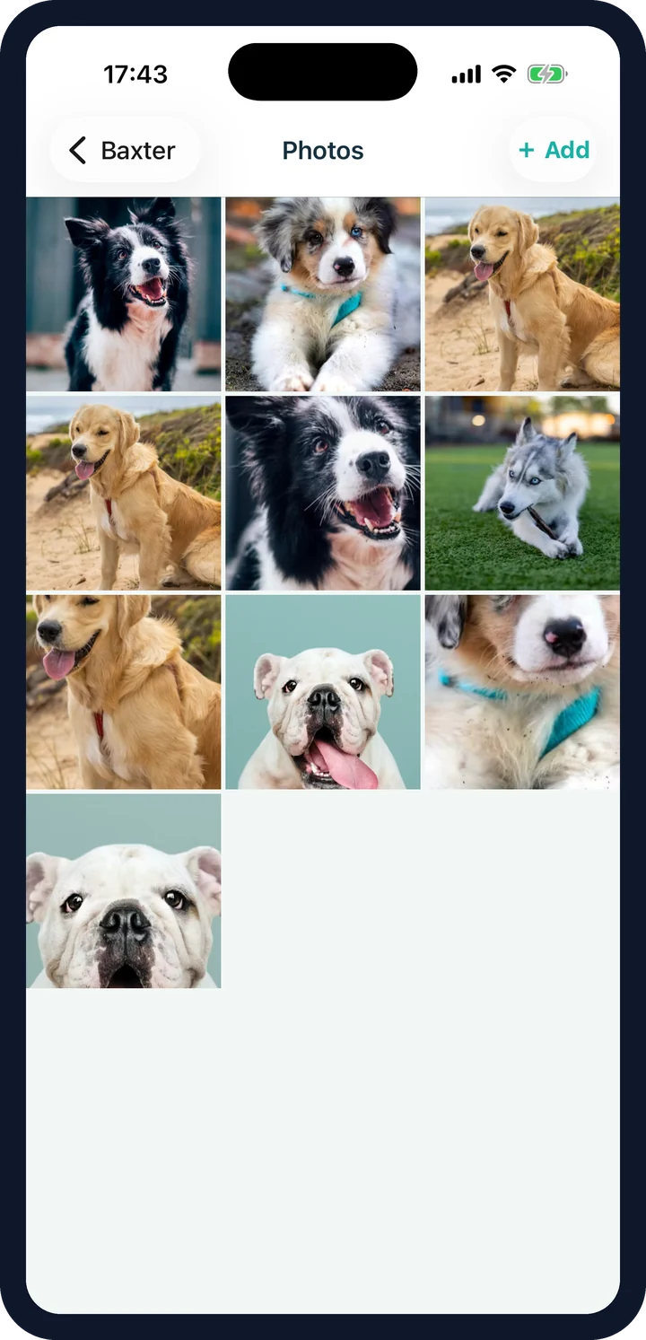 CorePaw photo gallery — a grid of pet photos with walk and diary tags