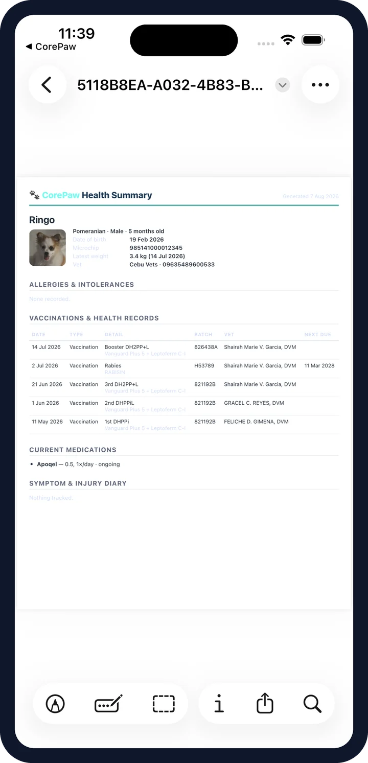 The printable CorePaw health summary a vet receives, with identity, allergies, vaccination history and current medications